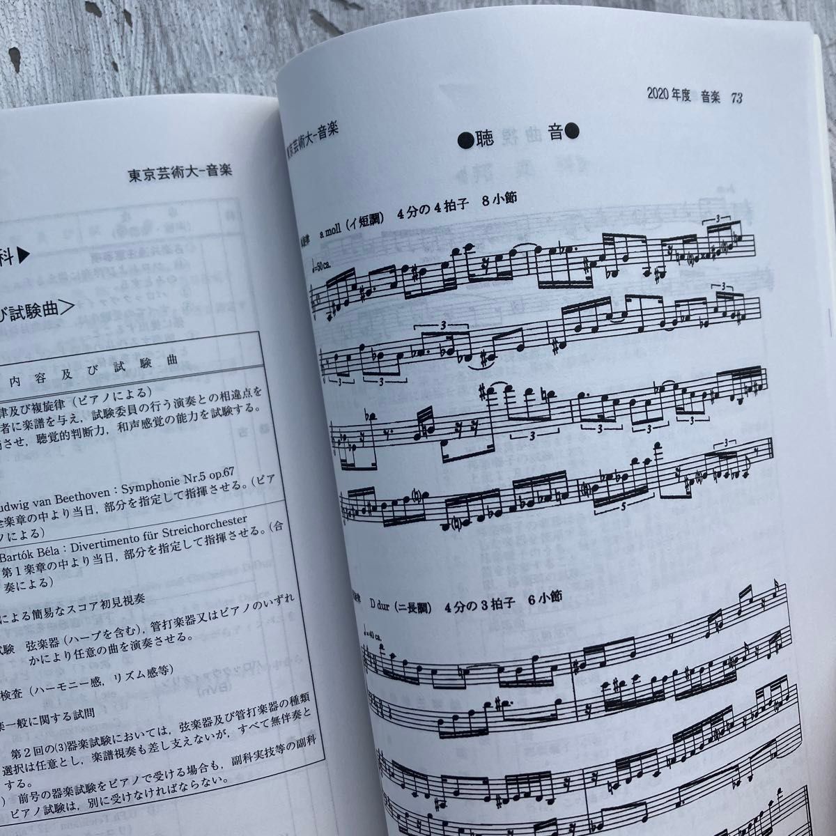 東京芸術大学 (2022年版 大学入試シリーズ) の赤本/東京藝術大学 東京芸術大学 (2022年版 大学入試シリーズ) の赤本/東京藝術大学
