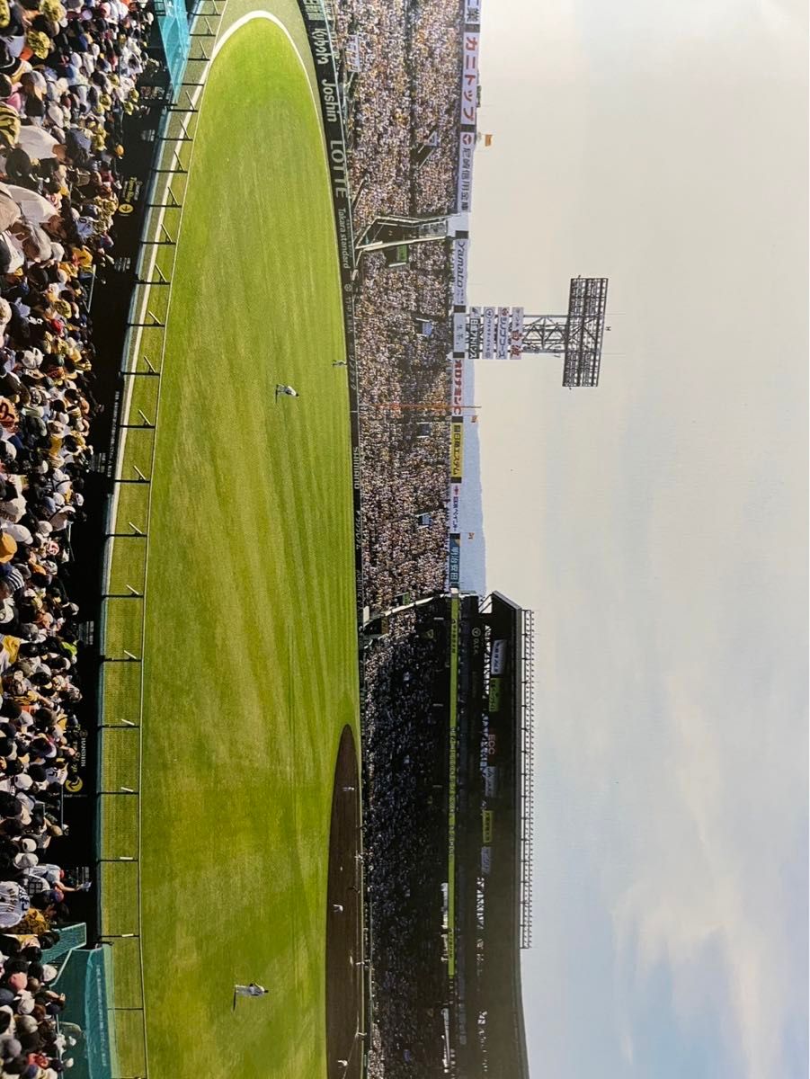 2025年4月26日( 土 )甲子園球場 阪神タイガース対巨人戦 2025年4月26日( 土 )甲子園球場 阪神タイガース対巨人戦