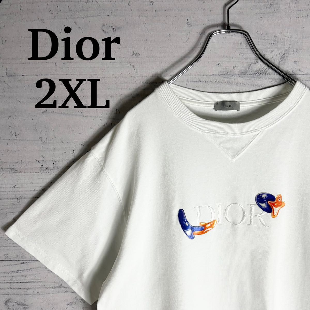 美品 希少サイズ ディオール×ケニーシャーフ 刺繍ロゴ Tシャツ 美品 希少サイズ ディオール×ケニーシャーフ 刺繍ロゴ Tシャツ