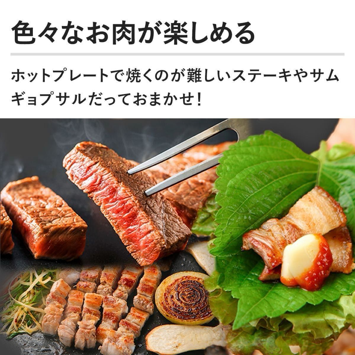 新品未使用】アラジングラファイトマジックグリラーPlus 新品未使用】アラジングラファイトマジックグリラーPlus