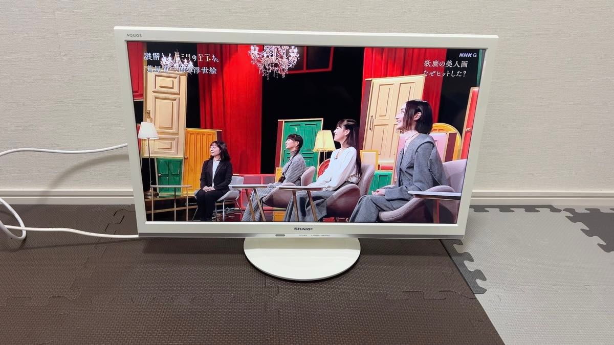 2018年製 SHARP テレビ 24インチ LC-24P5