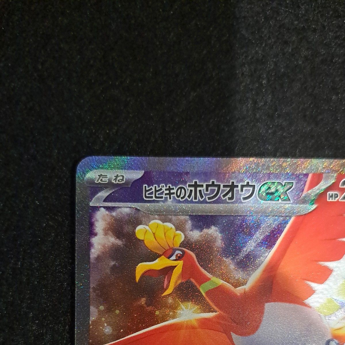 ポケモンカード 熱風のアリーナ ヒビキのホウオウex SAR|Yahoo ポケモンカード 熱風のアリーナ ヒビキのホウオウex SAR|Yahoo