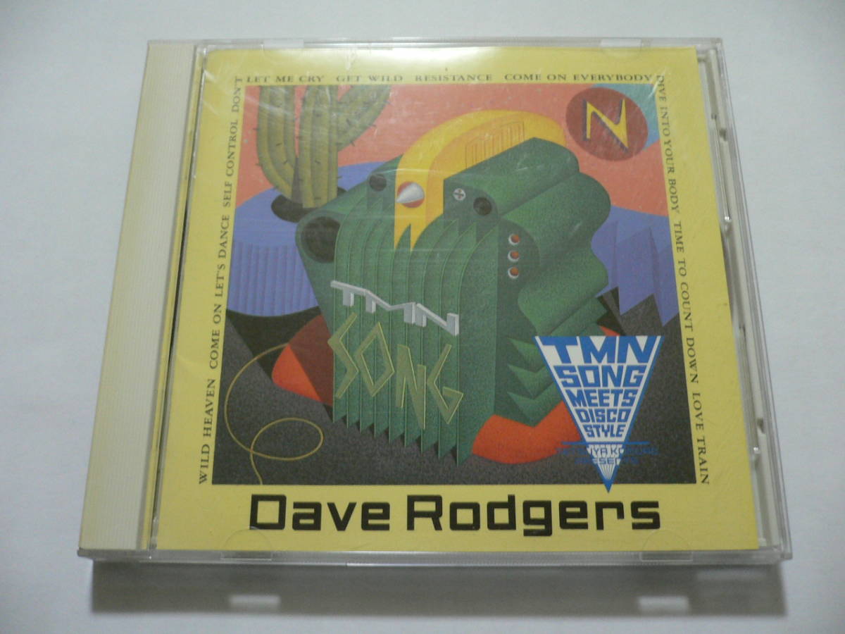 TMN SONG MEETS DISCO STYLE デイヴ・ロジャース Dave Rodgers ディスコ 小室哲哉 英語カバー_画像1