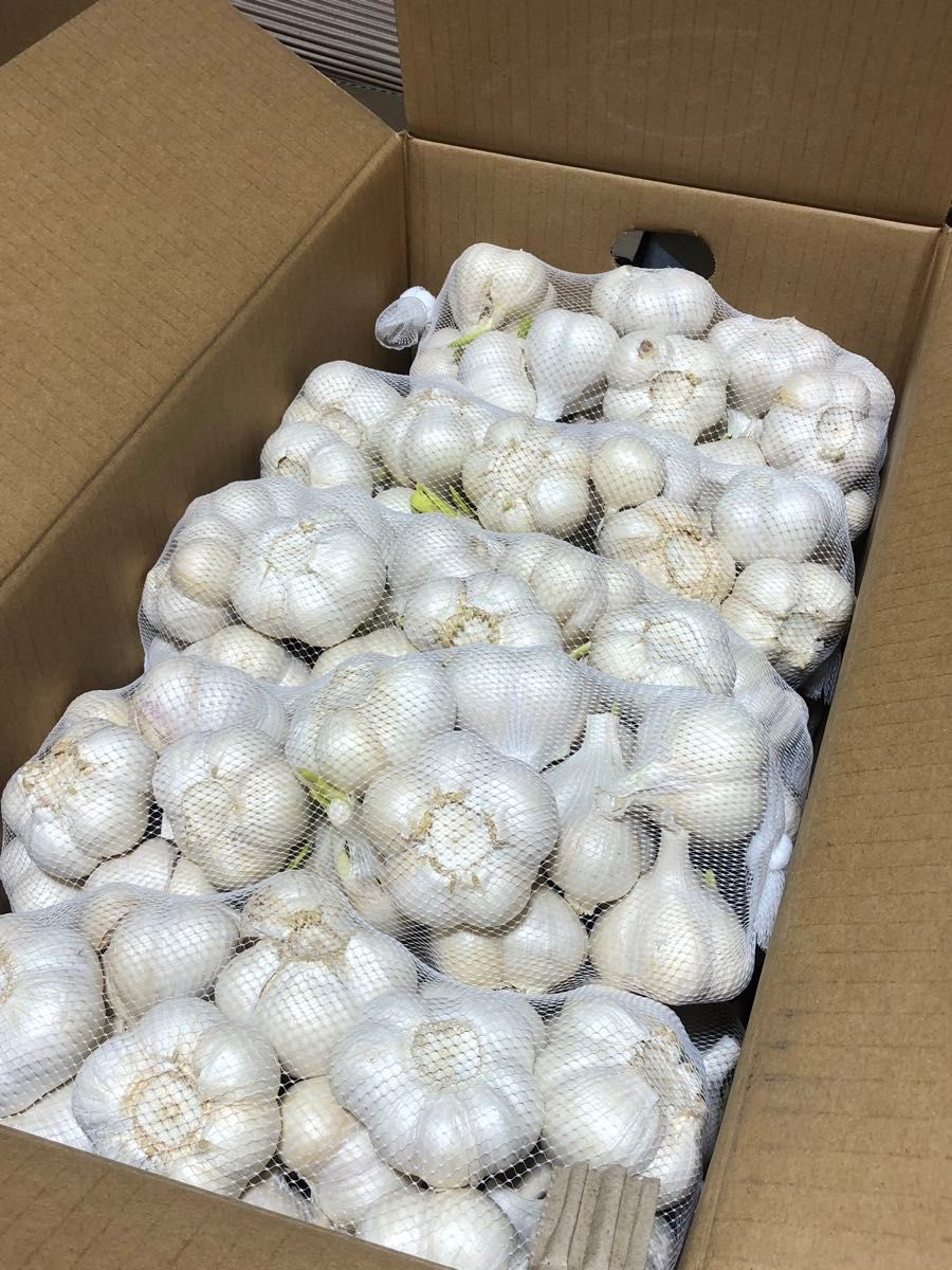 青森県産 にんにく L 5kg 訳あり 大特価|Yahoo!フリマ(旧 青森県産 にんにく L 5kg 訳あり 大特価|Yahoo!フリマ(旧