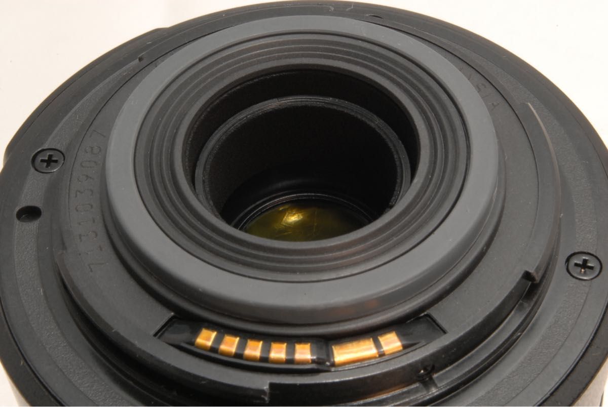 不動の人気 手振れ補正 望遠レンズ Canon EF-S 55-250mm F4-5 6 不動の人気 手振れ補正 望遠レンズ Canon EF-S 55-250mm F4-5 6
