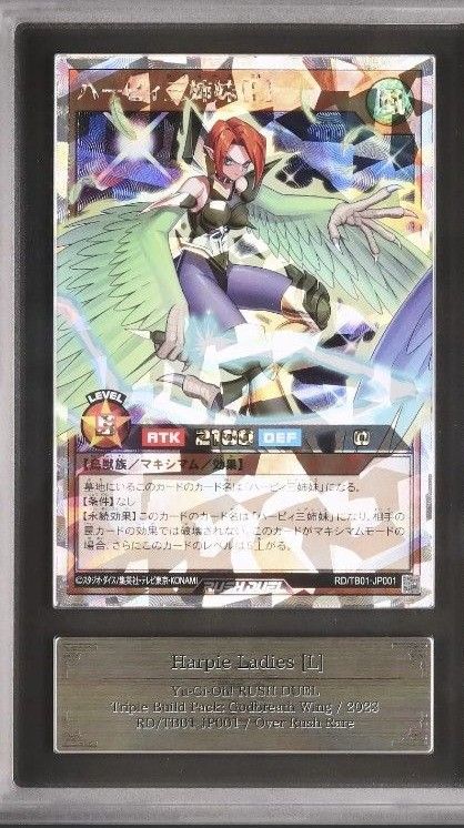 ARS10 遊戯王 ラッシュデュエル ハーピィ 三姉妹 オーバー ARS10 遊戯王 ラッシュデュエル ハーピィ 三姉妹 オーバー