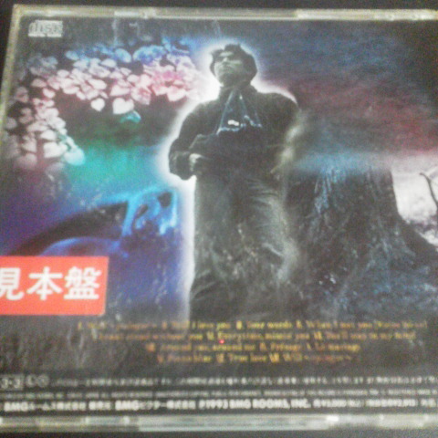 望月衛介 STILL I LOVE YOU 見本盤CD 名盤　レア_画像2