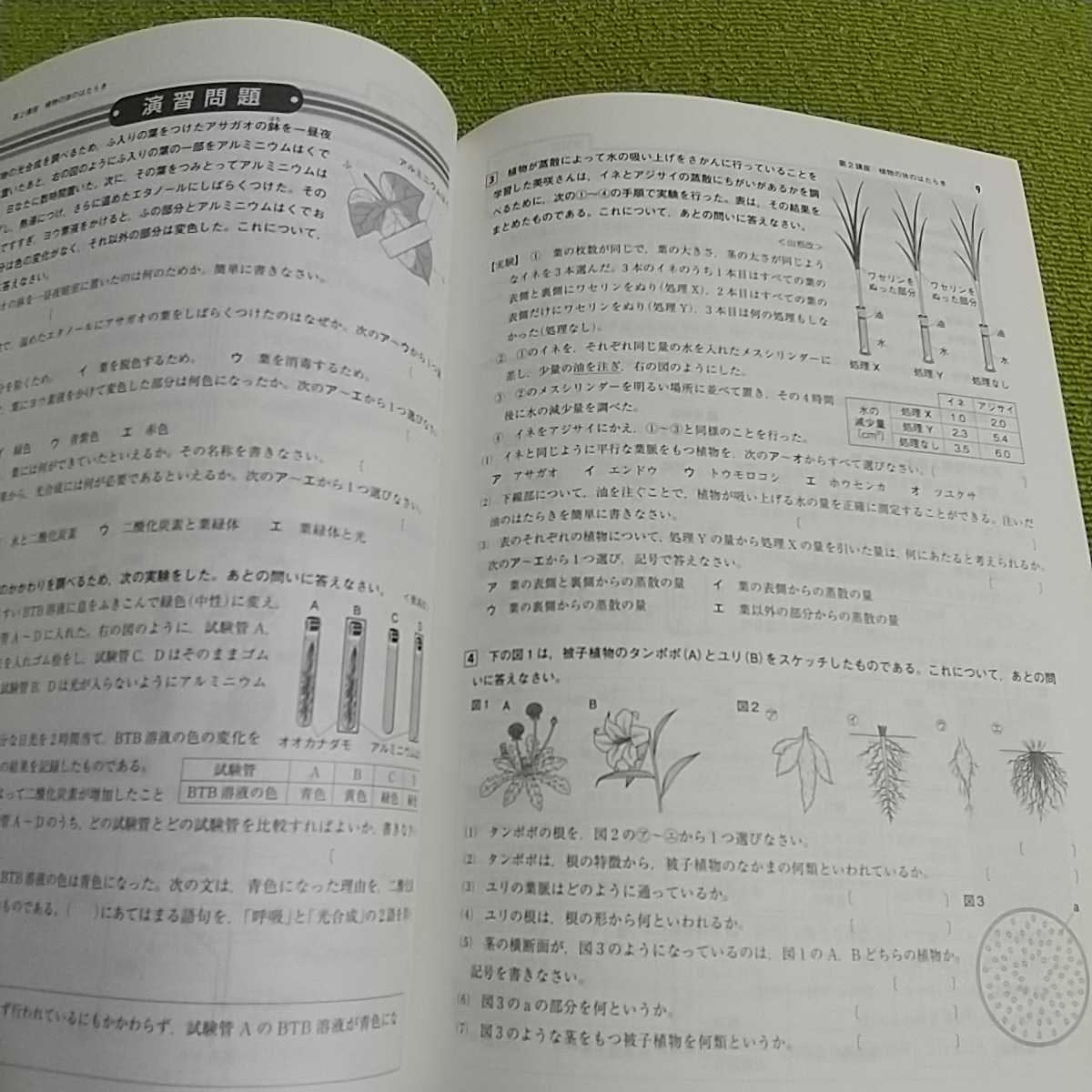 ヤフオク 春期テキスト 必修編 理科 中学新２年 改訂新版