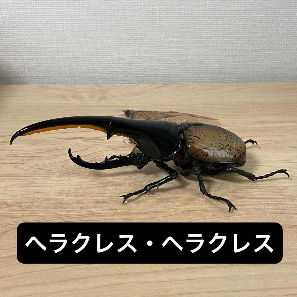 ヘラクレス・ヘラクレス いきもの大図鑑アドバンス ヘラクレス ヘラクレス・ヘラクレス いきもの大図鑑アドバンス ヘラクレス