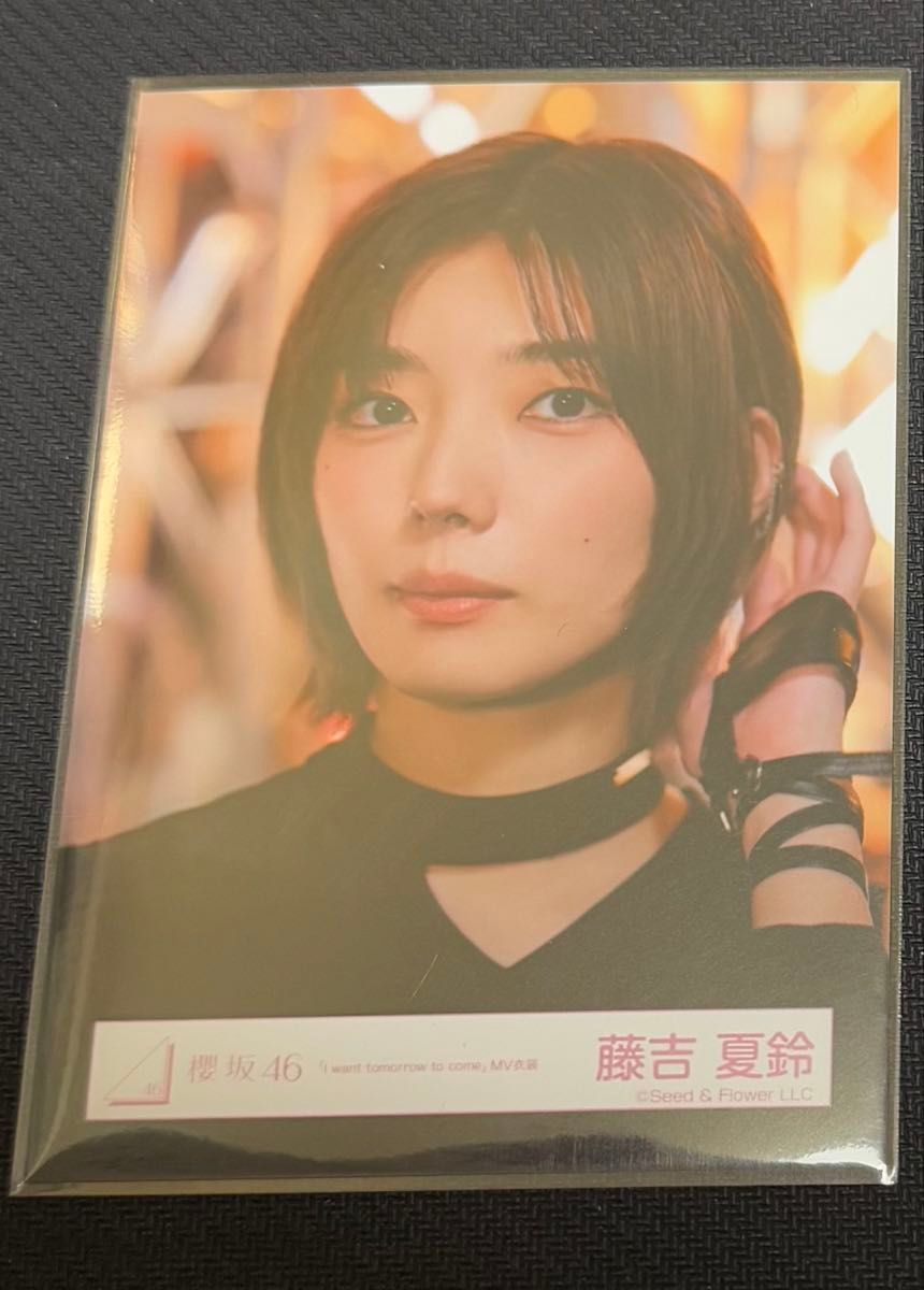 櫻坂46 藤吉夏鈴 IWTC 生写真|Yahoo!フリマ(旧PayPayフリマ) 櫻坂46 藤吉夏鈴 IWTC 生写真|Yahoo!フリマ(旧PayPayフリマ)