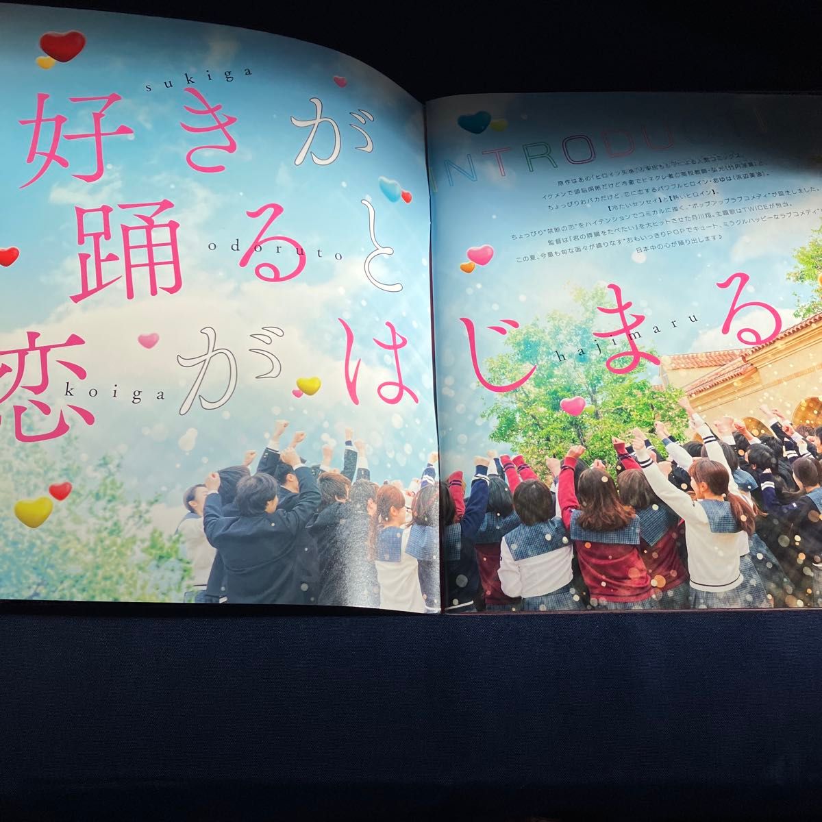 センセイ君主 パンフレット 前売特典クリアファイル フライヤー センセイ君主 パンフレット 前売特典クリアファイル フライヤー