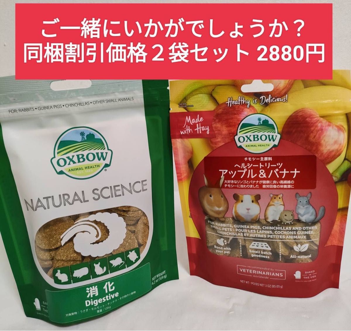 リニューアル新商品お試し大特価 】バニーセレクションプロ リニューアル新商品お試し大特価 】バニーセレクションプロ
