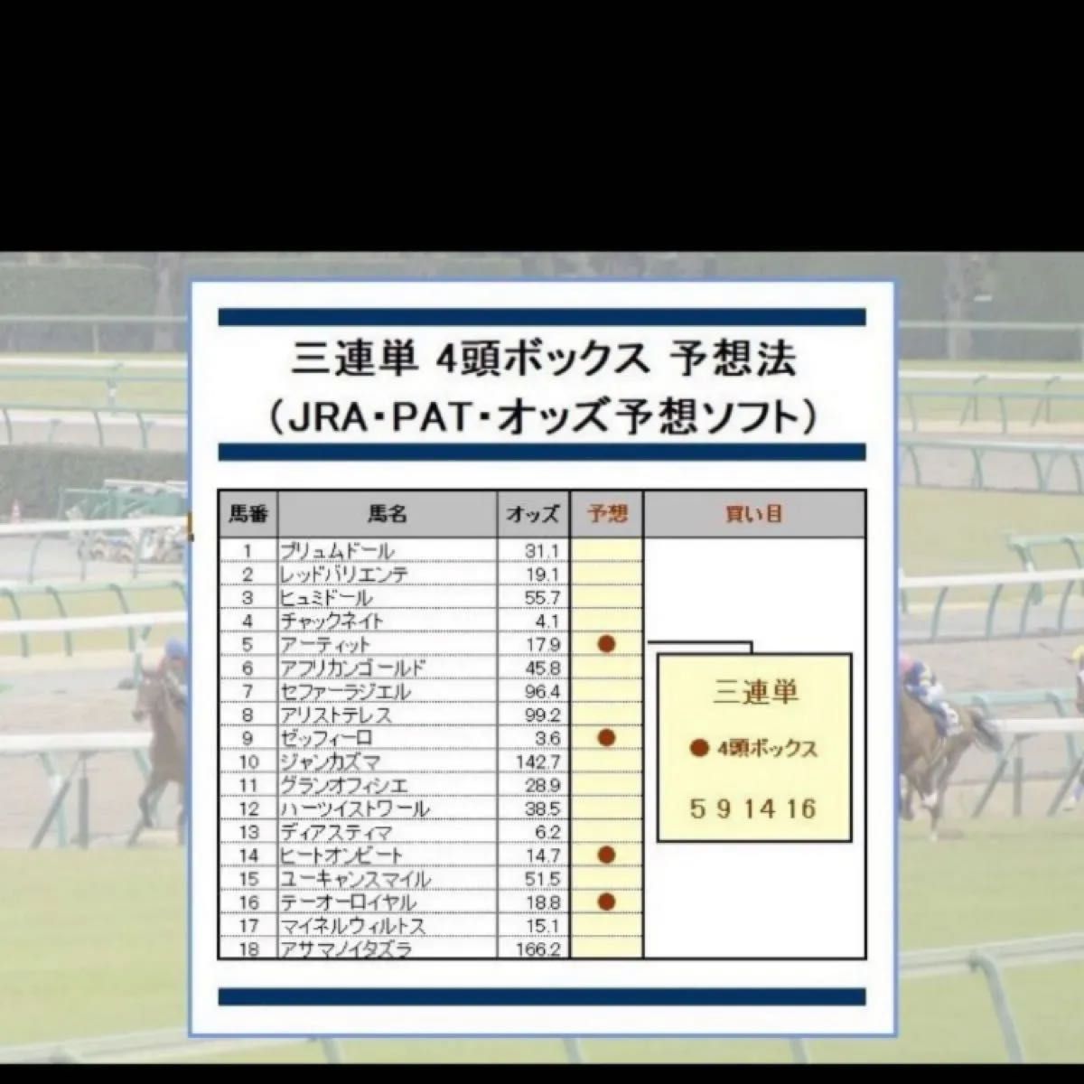 __三連単で248万円稼いだ競馬予想法__回収率345%~1740%__ __三連単で248万円稼いだ競馬予想法__回収率345%~1740%__