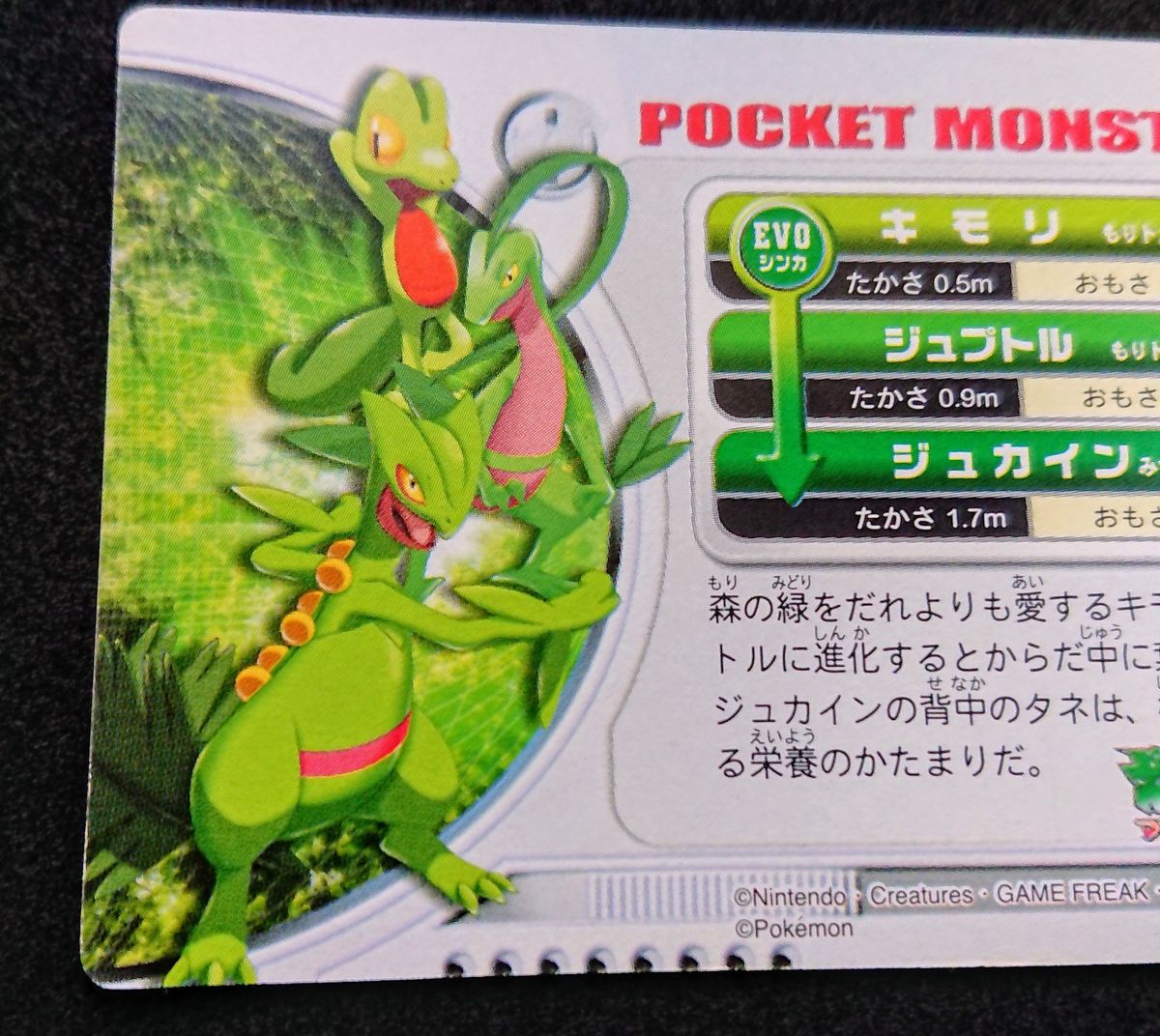 ポケットモンスターアドバンスジェネレーション ポケモンずかん ポケットモンスターアドバンスジェネレーション ポケモンずかん