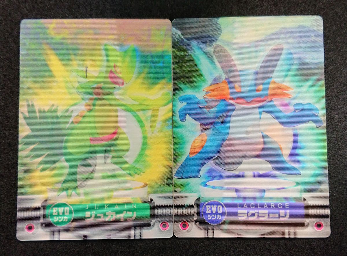 ポケットモンスターアドバンスジェネレーション ポケモンずかん ポケットモンスターアドバンスジェネレーション ポケモンずかん