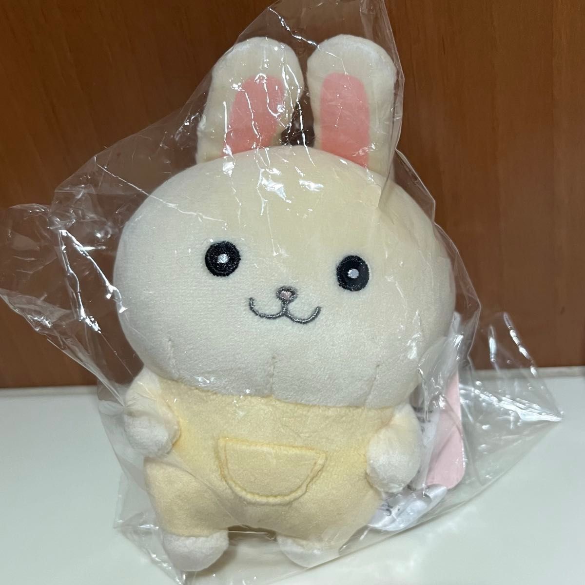 ちいかわらんど ちいかわ なんか似てるの なんとかバニア ぽて ちいかわらんど ちいかわ なんか似てるの なんとかバニア ぽて