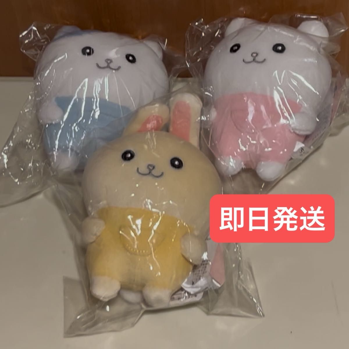 ちいかわらんど ちいかわ なんか似てるの なんとかバニア ぽて ちいかわらんど ちいかわ なんか似てるの なんとかバニア ぽて