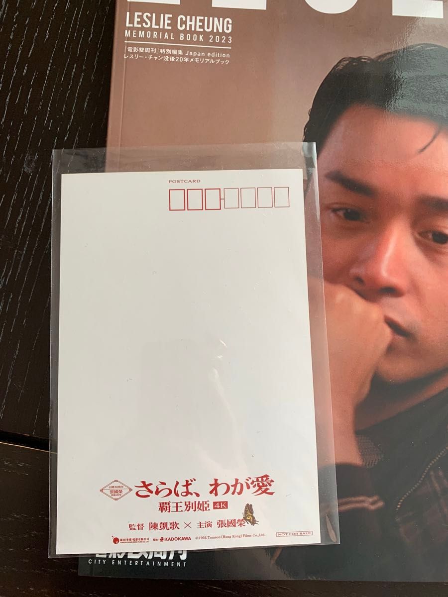 レスリー・チャン没後20年メモリアルブック LESLIE CHEUNG レスリー・チャン没後20年メモリアルブック LESLIE CHEUNG