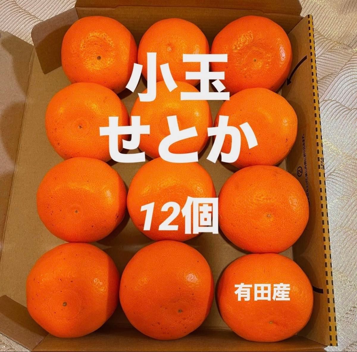数量限定 甘すぎる 小玉 せとか みかん 有田産 みかん 果物 数量限定 甘すぎる 小玉 せとか みかん 有田産 みかん 果物