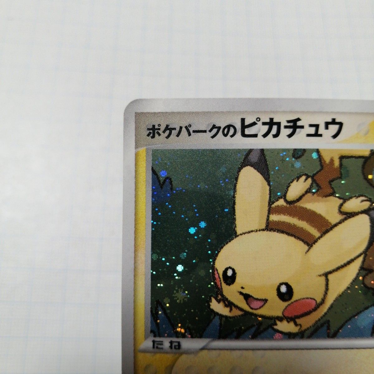 ポケモンカード ポケパークのピカチュウ|Yahoo!フリマ(旧 ポケモンカード ポケパークのピカチュウ|Yahoo!フリマ(旧