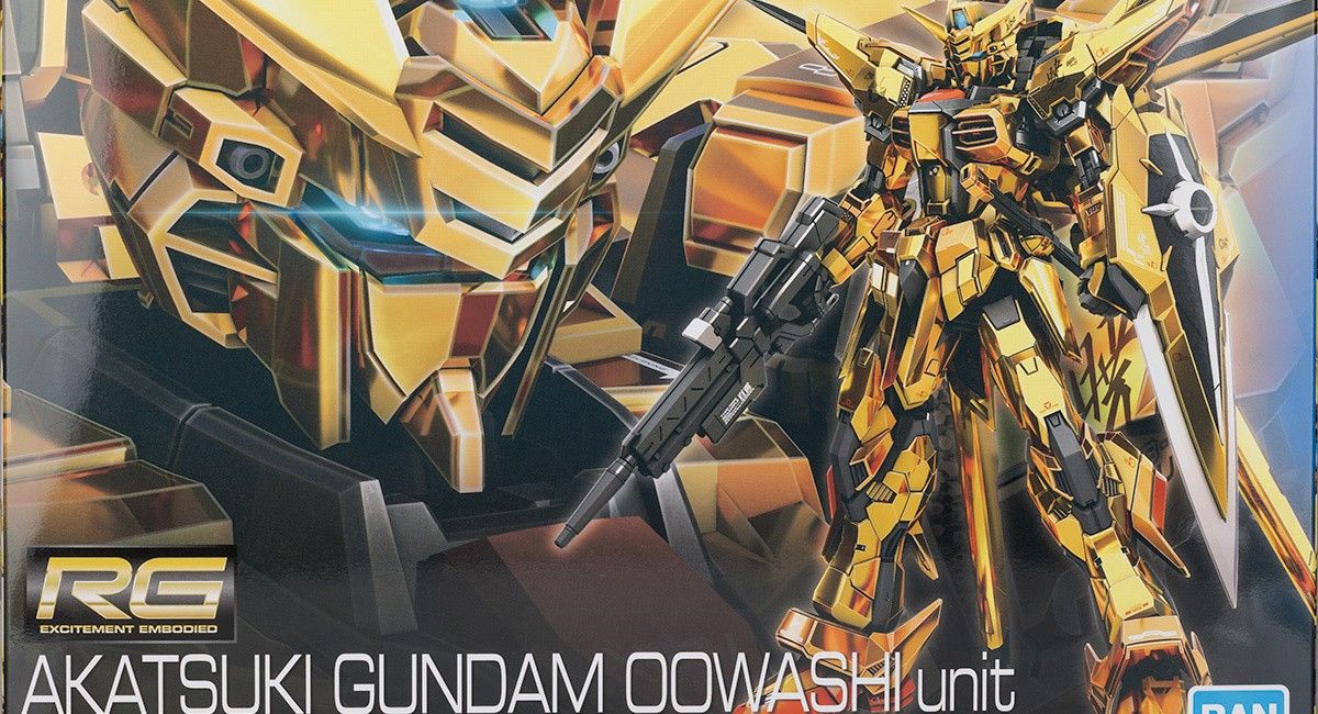 HG ゼウスシルエット SpecII HGCE RG アカツキガンダム オオワシ HG ゼウスシルエット SpecII HGCE RG アカツキガンダム オオワシ
