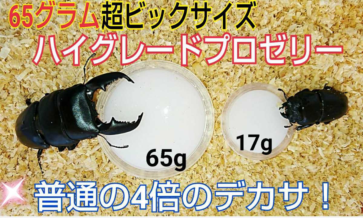 65グラム超ビックサイズ！ハイグレードプロゼリー☆特大200個☆成分に拘わり抜いた最高峰！産卵促進・長寿・体力増進に！トレハロース増量 _画像6