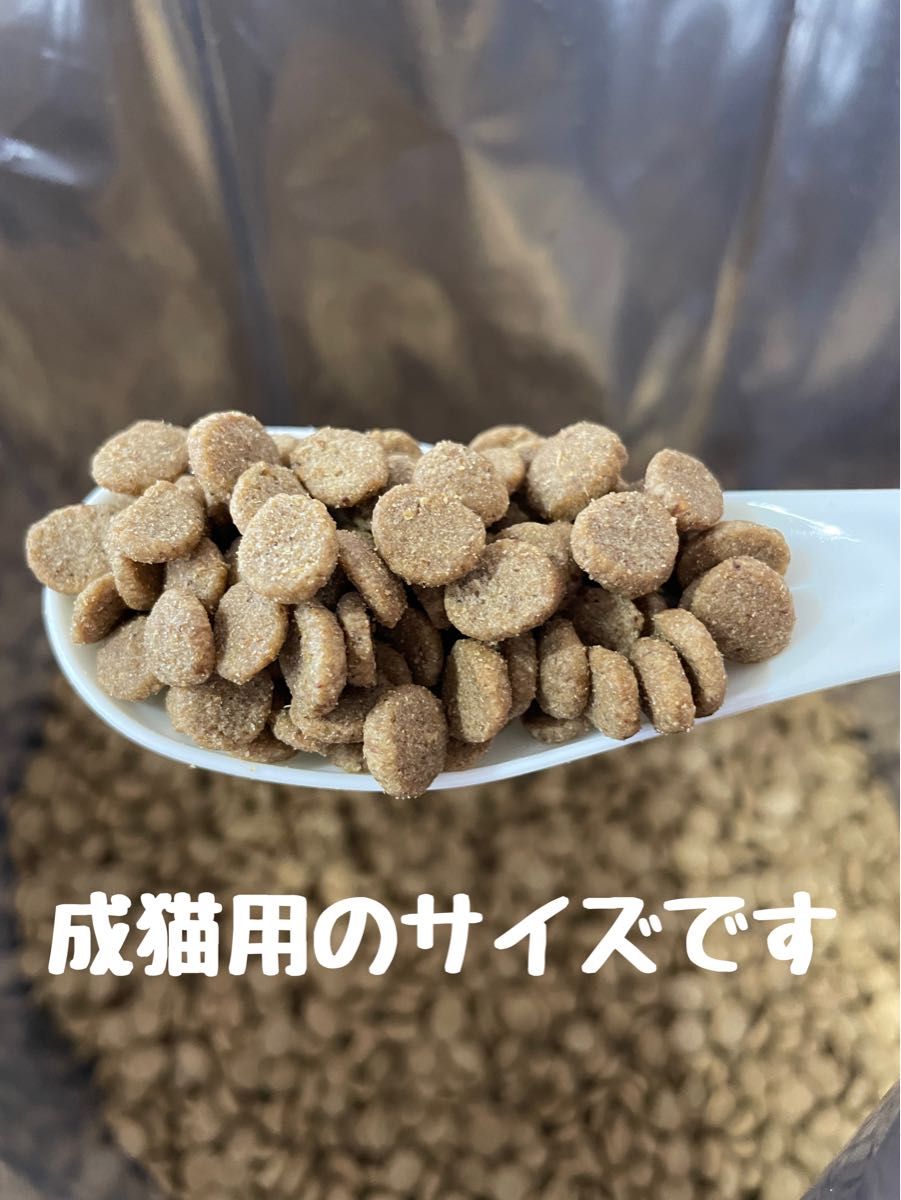 ニュートロ シュプレモ 成猫用(白身魚&チキン)3kgパック ニュートロ シュプレモ 成猫用(白身魚&チキン)3kgパック