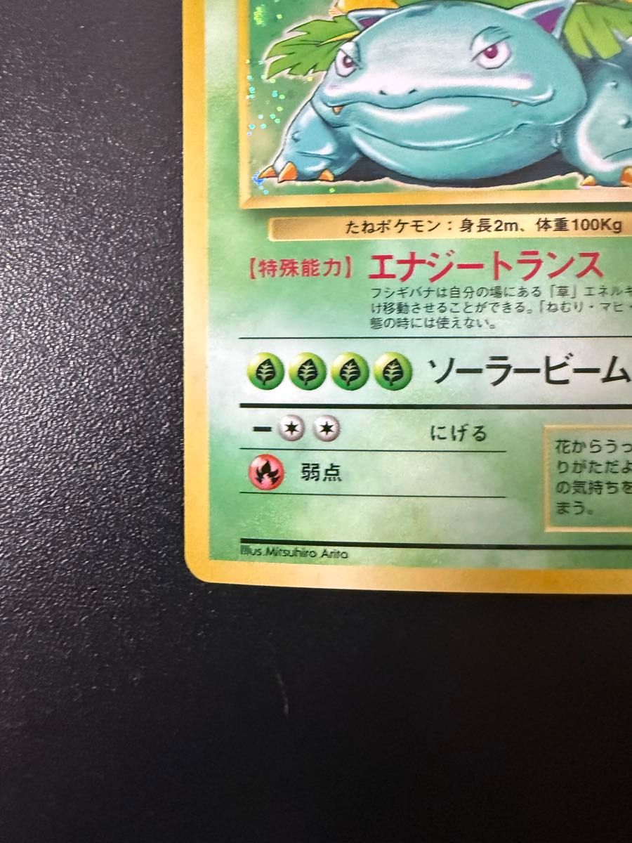 ポケモンカード 旧裏 フシギバナ|Yahoo!フリマ(旧PayPayフリマ) ポケモンカード 旧裏 フシギバナ|Yahoo!フリマ(旧PayPayフリマ)