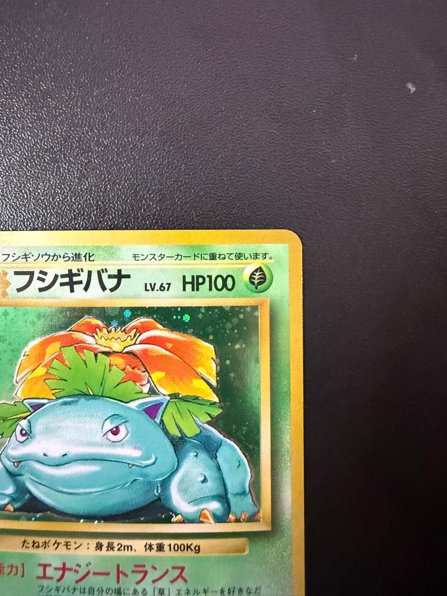 ポケモンカード 旧裏 フシギバナ|Yahoo!フリマ(旧PayPayフリマ) ポケモンカード 旧裏 フシギバナ|Yahoo!フリマ(旧PayPayフリマ)