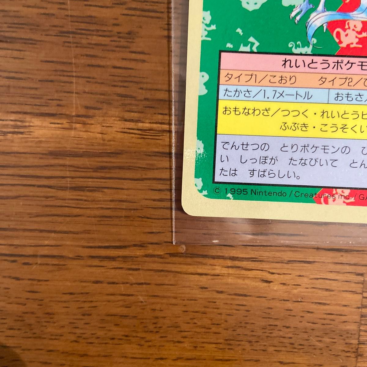トップサン ポケモンカード サンダー ファイヤー フリーザー 裏 トップサン ポケモンカード サンダー ファイヤー フリーザー 裏