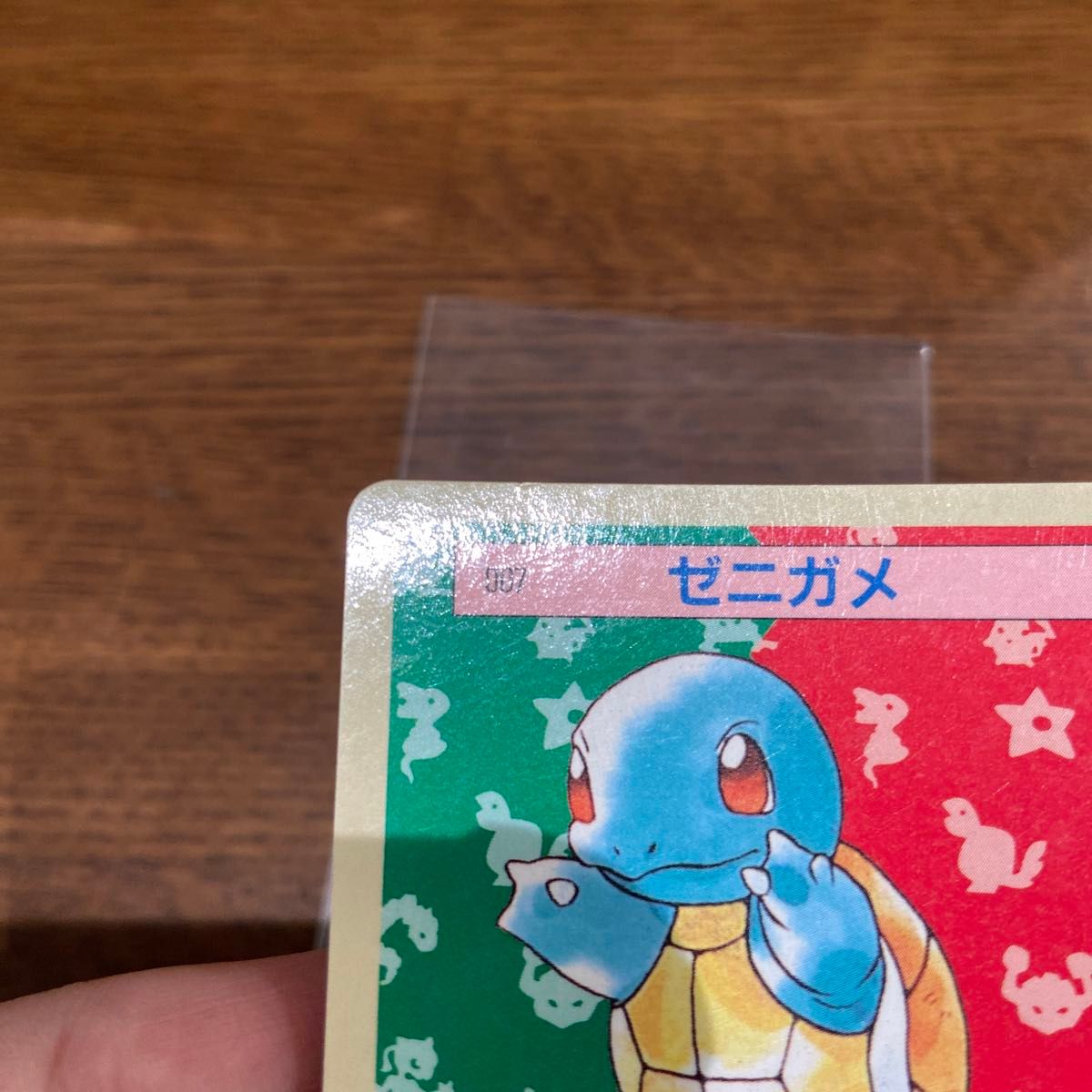 トップサン ポケモンカード 裏青 ゼニガメ カメール まとめ売り トップサン ポケモンカード 裏青 ゼニガメ カメール まとめ売り