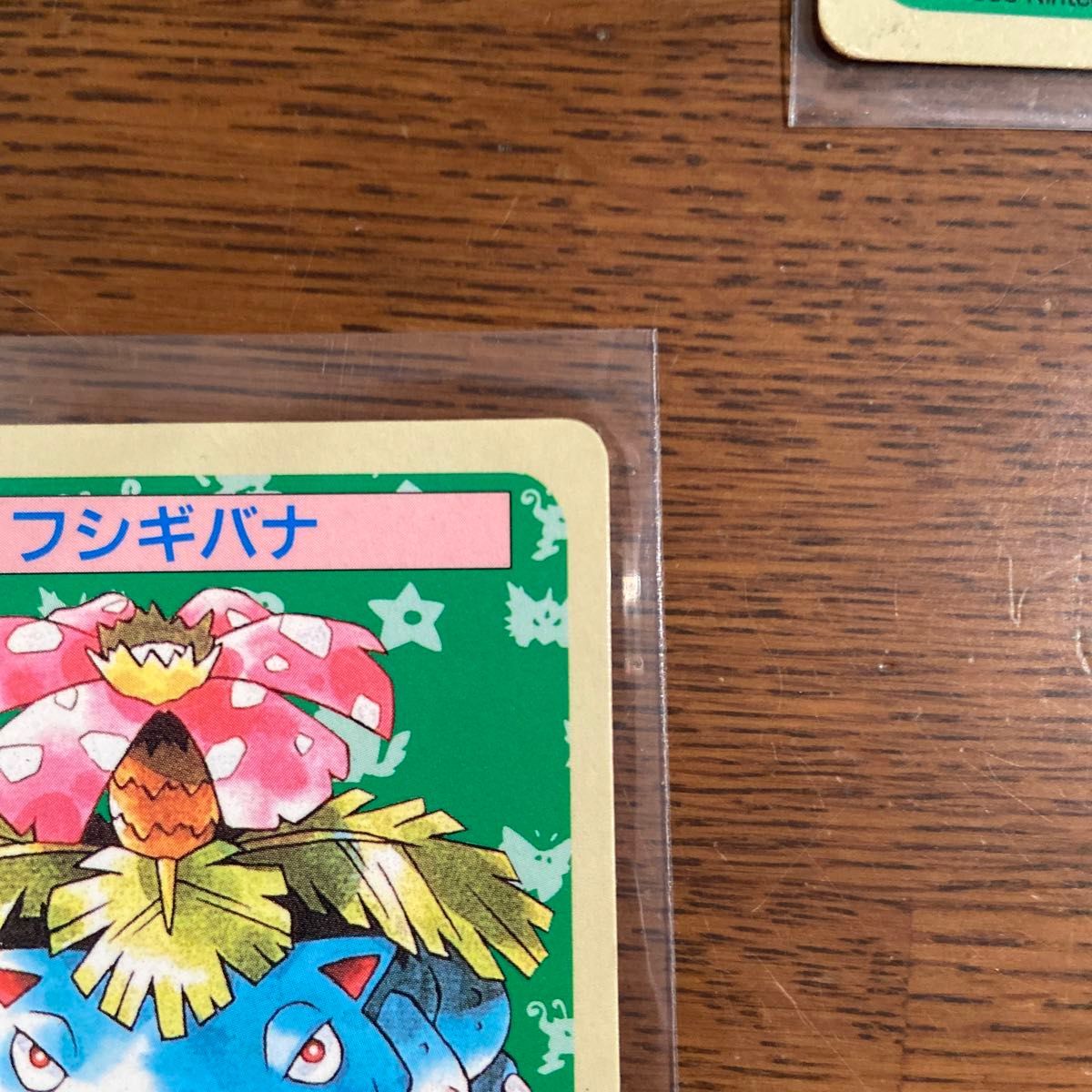 トップサン ポケモンカード 裏青 フシギバナ フシギソウ トップサン ポケモンカード 裏青 フシギバナ フシギソウ