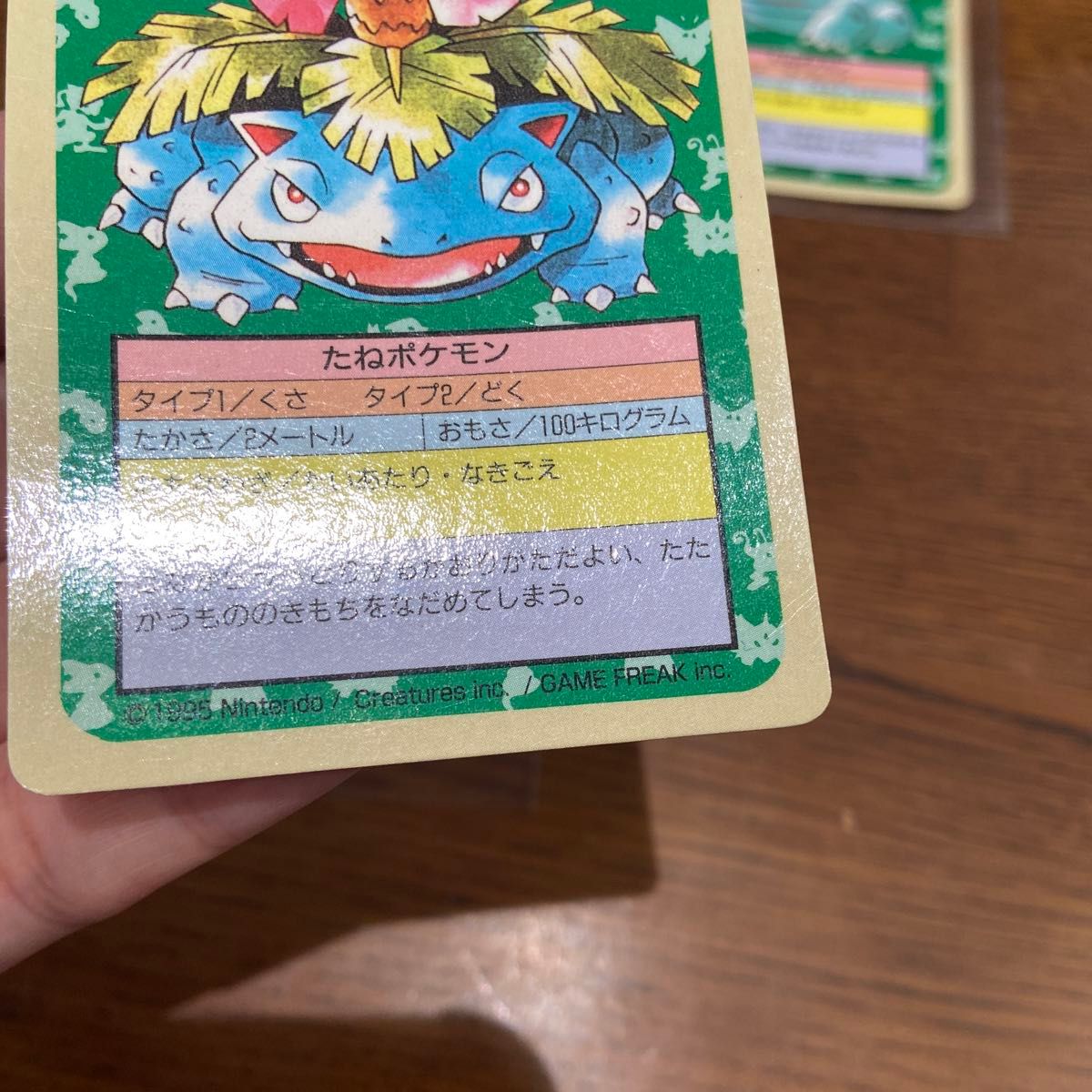 トップサン ポケモンカード 裏青 フシギバナ フシギソウ トップサン ポケモンカード 裏青 フシギバナ フシギソウ