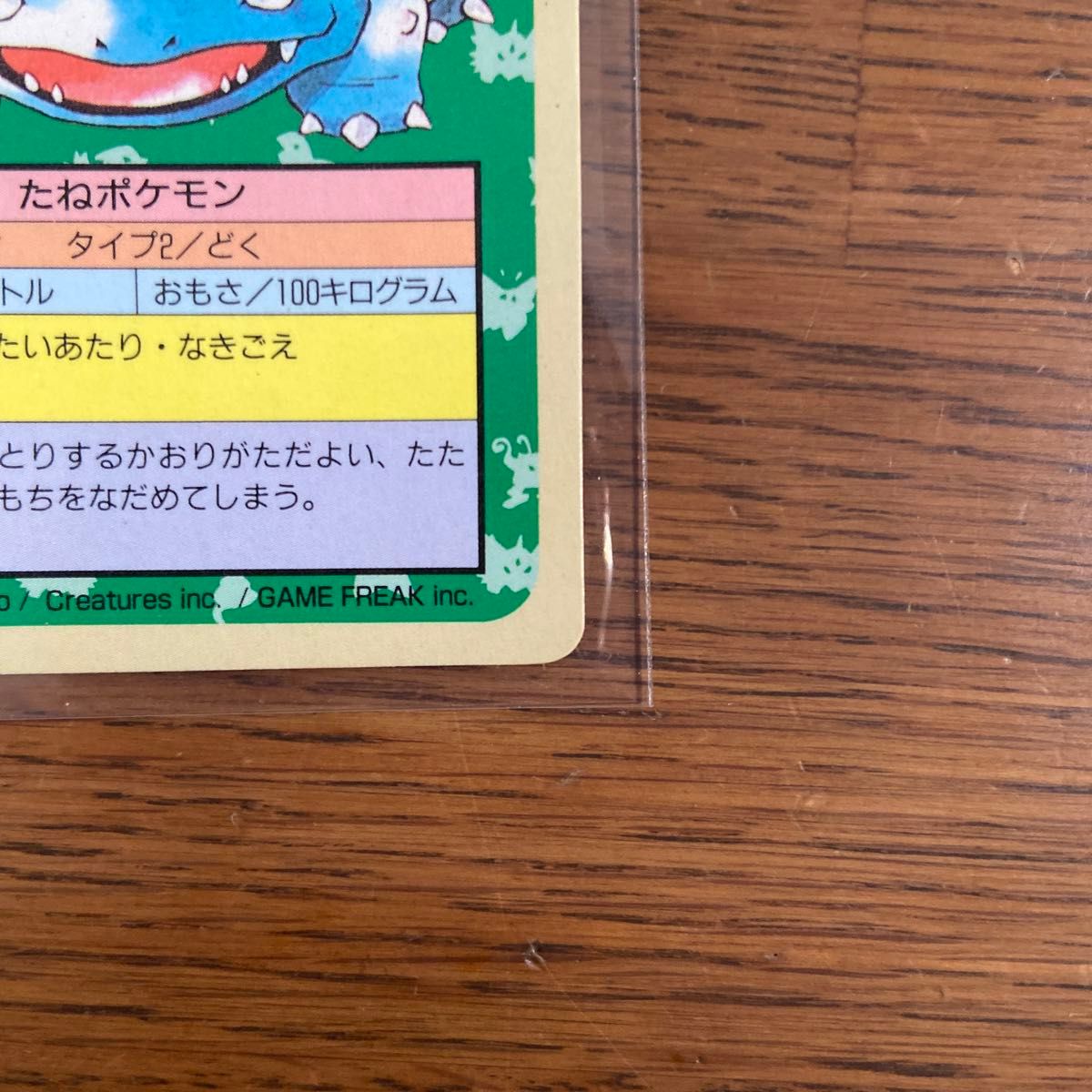 トップサン ポケモンカード 裏青 フシギバナ フシギソウ トップサン ポケモンカード 裏青 フシギバナ フシギソウ