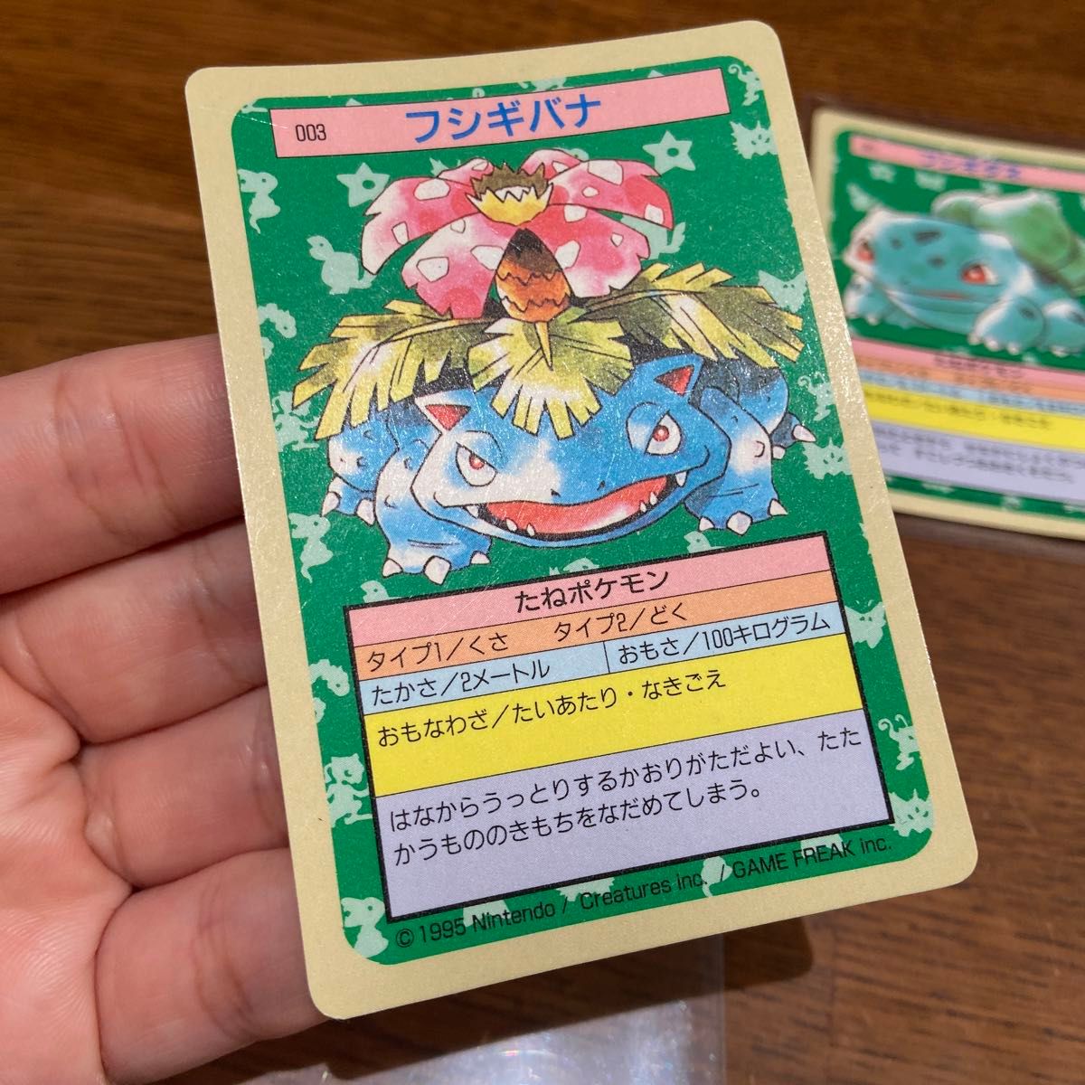 トップサン ポケモンカード 裏青 フシギバナ フシギソウ トップサン ポケモンカード 裏青 フシギバナ フシギソウ