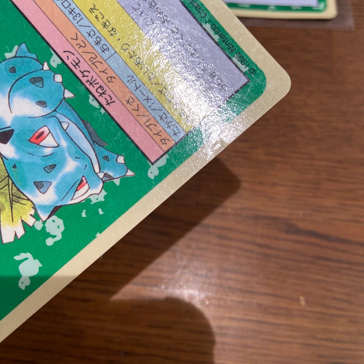 トップサン ポケモンカード 裏青 フシギバナ フシギソウ トップサン ポケモンカード 裏青 フシギバナ フシギソウ