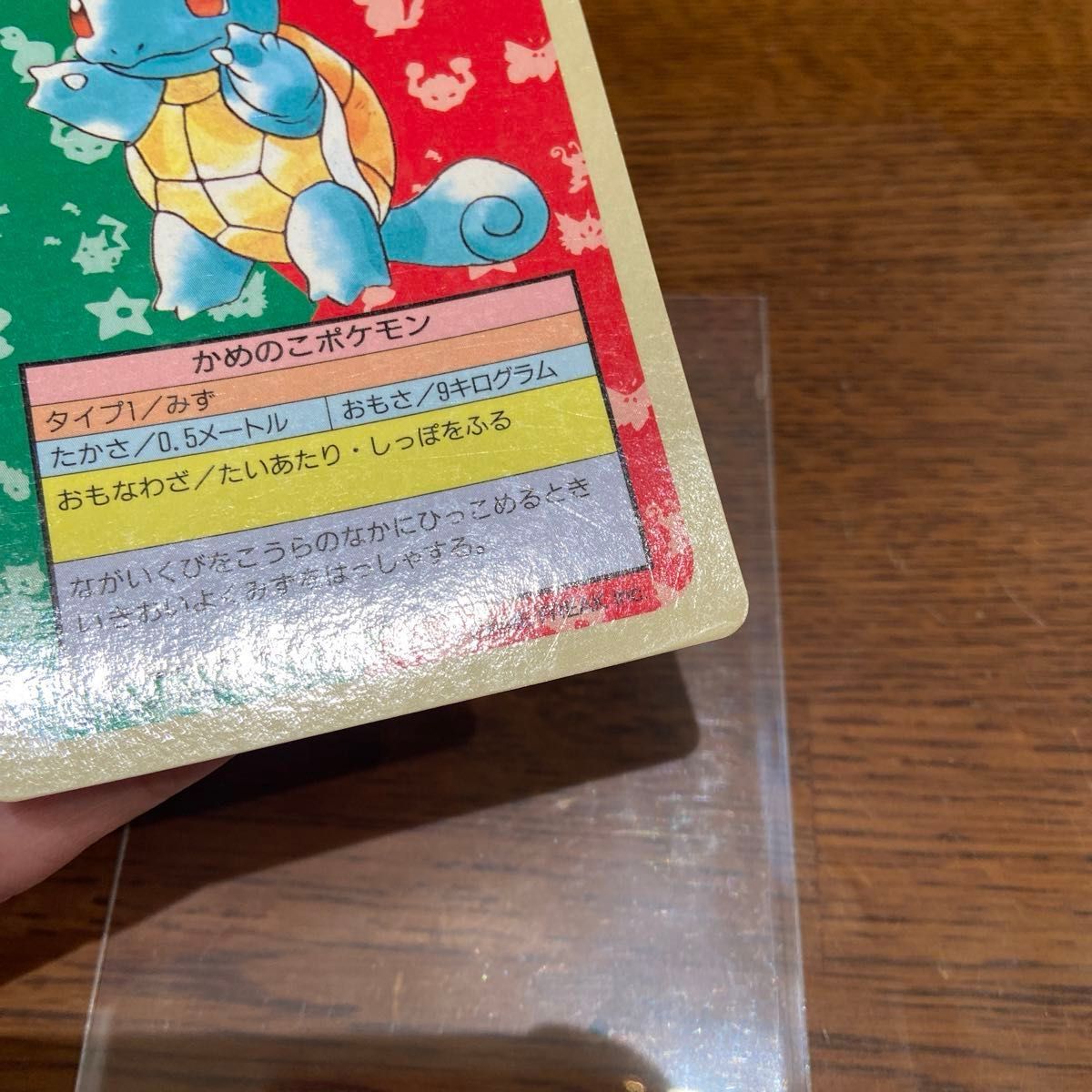 トップサン ポケモンカード ゼニガメ 裏青|Yahoo!フリマ(旧 トップサン ポケモンカード ゼニガメ 裏青|Yahoo!フリマ(旧