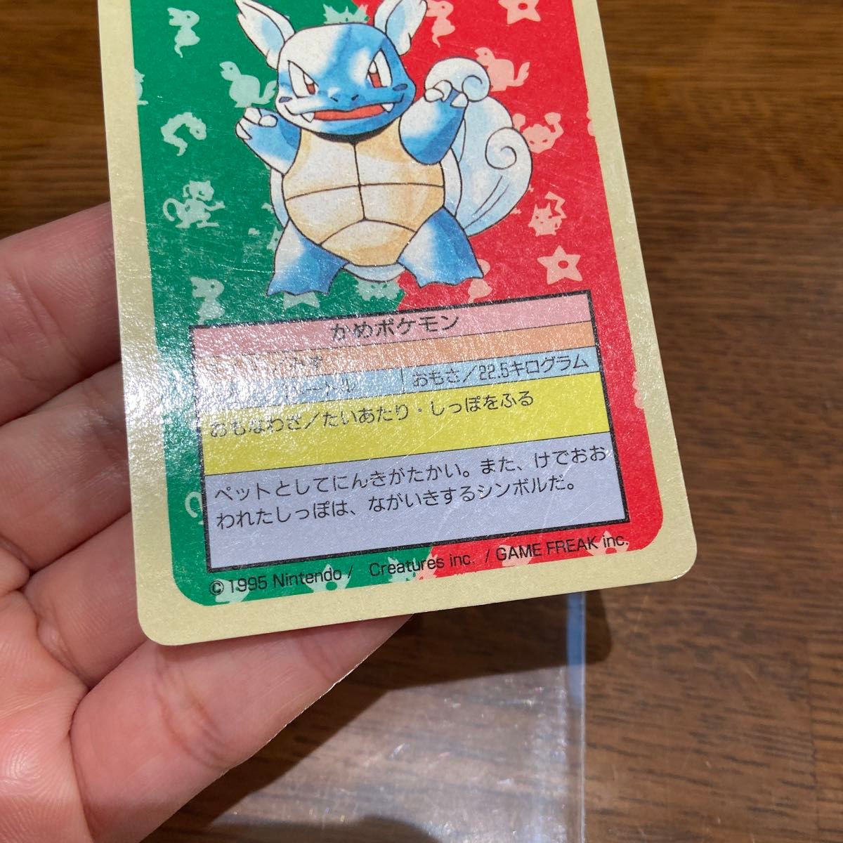 トップサン ポケモンカード カメール 裏青|Yahoo!フリマ(旧 トップサン ポケモンカード カメール 裏青|Yahoo!フリマ(旧
