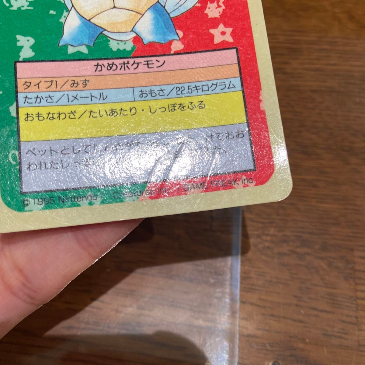 トップサン ポケモンカード カメール 裏青|Yahoo!フリマ(旧 トップサン ポケモンカード カメール 裏青|Yahoo!フリマ(旧