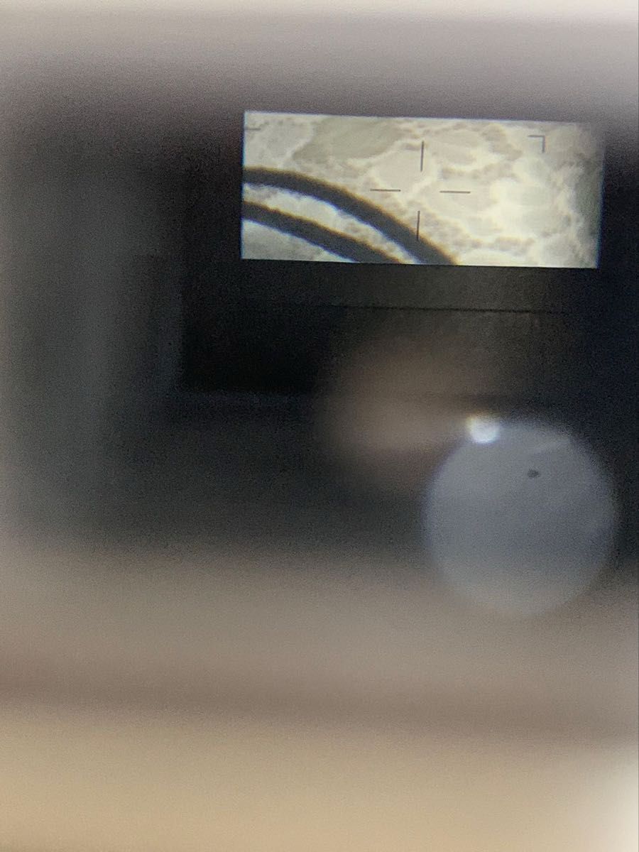 ジャンク品 )(動作未確認) Olympus μ Zoom 115|Yahoo!フリマ ジャンク品 )(動作未確認) Olympus μ Zoom 115|Yahoo!フリマ