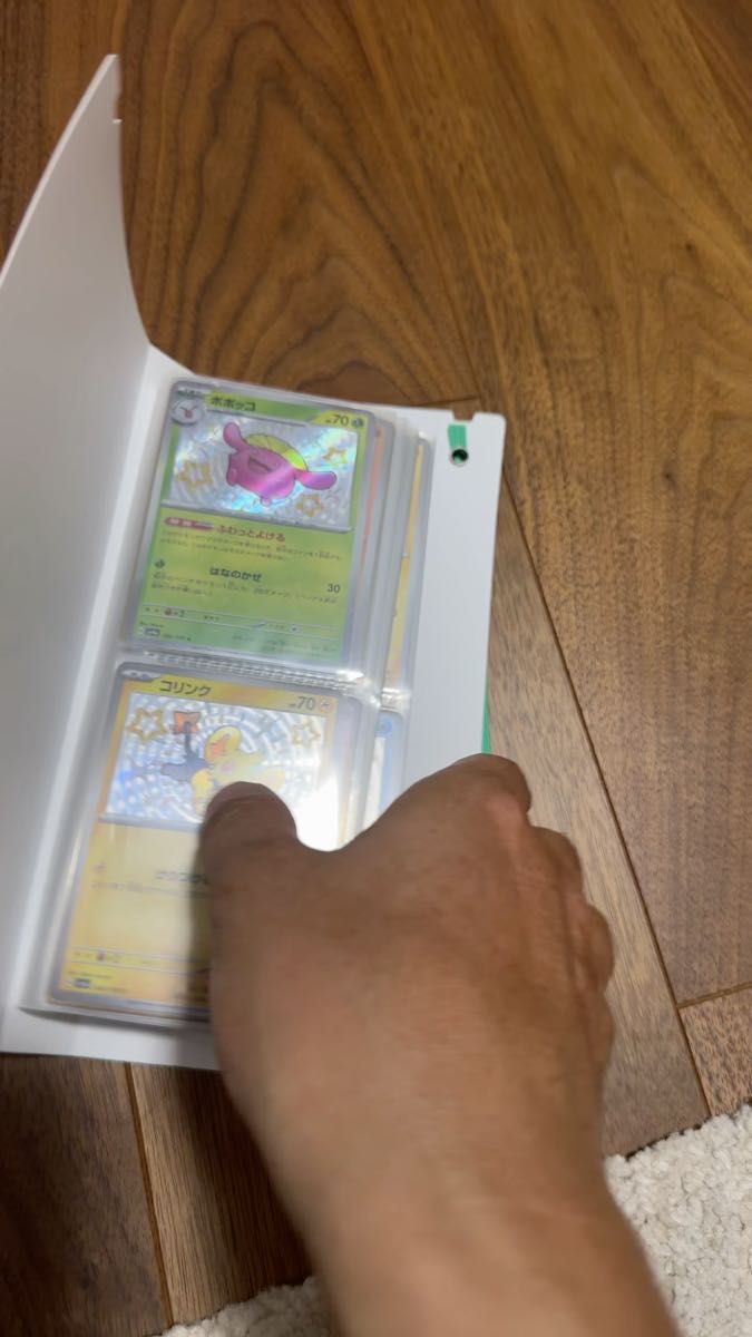 シャイニートレジャーS93種