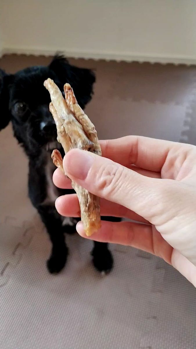 無添加 犬用おやつ とりもみじ 5本