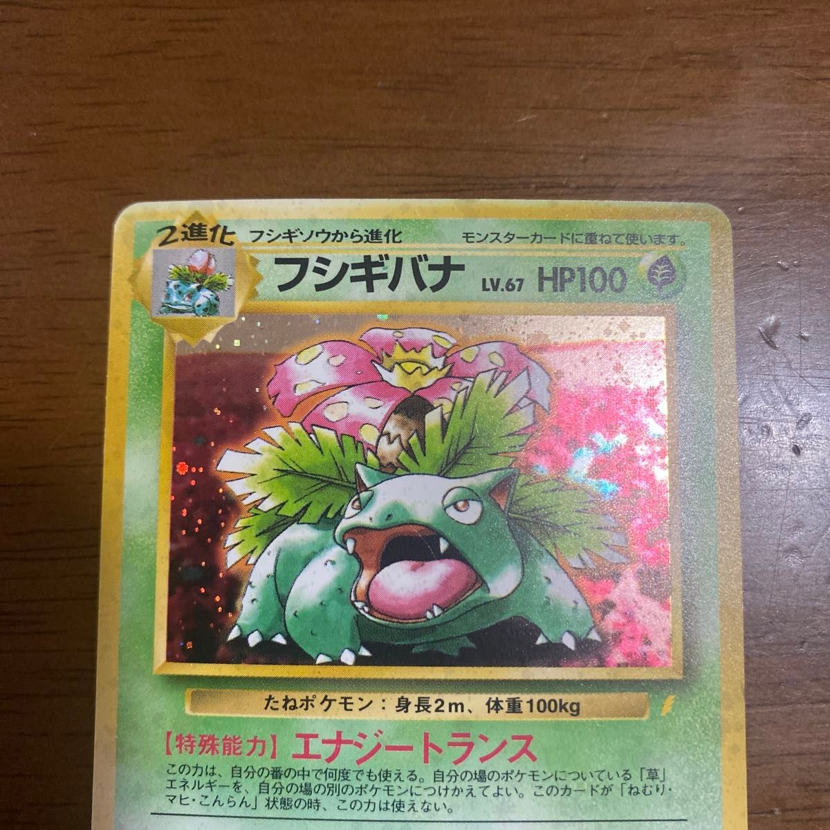 ポケモンカード フシギバナ LV 67 旧裏 とりかえっこプリーズ ポケモンカード フシギバナ LV 67 旧裏 とりかえっこプリーズ