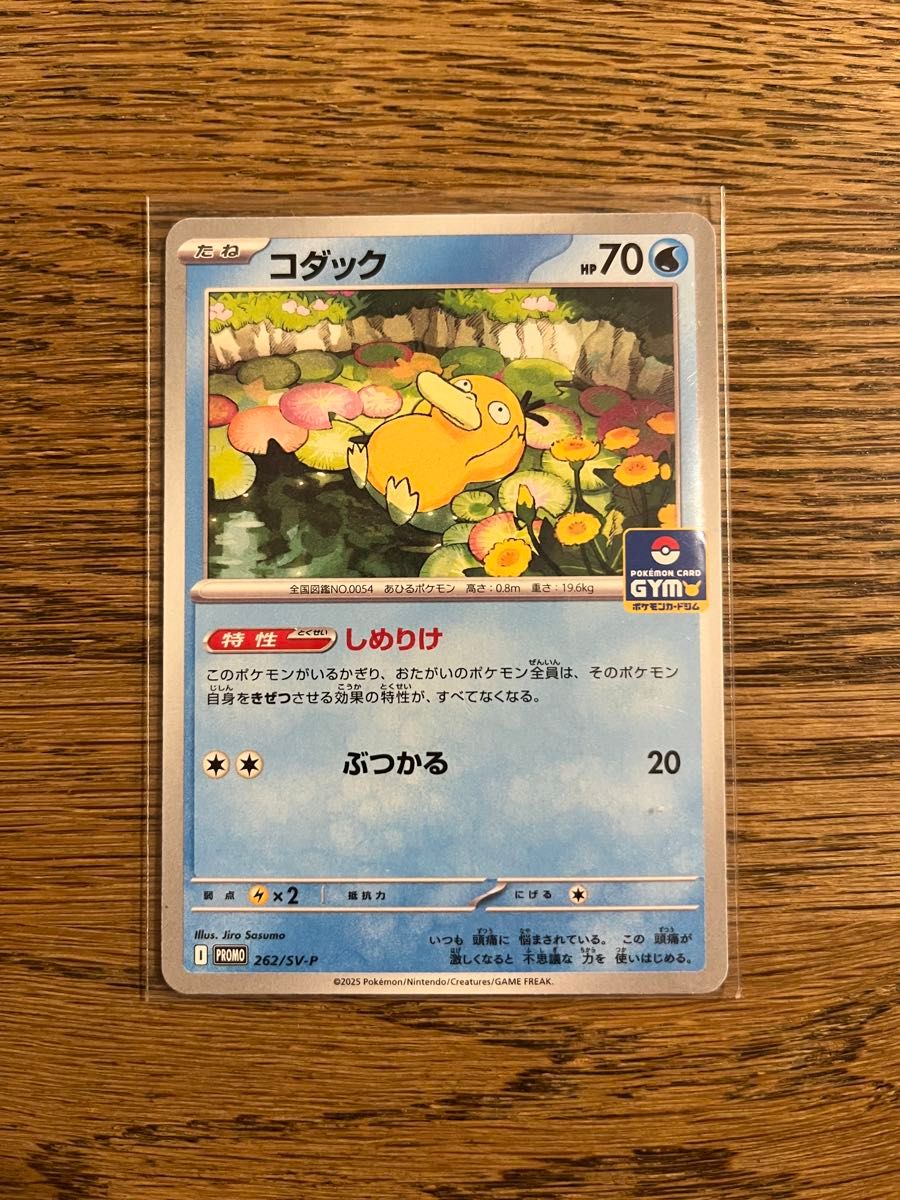ポケモンカード プロモ コダック PROMO 262/SV-P|Yahoo!フリマ ポケモンカード プロモ コダック PROMO 262/SV-P|Yahoo!フリマ