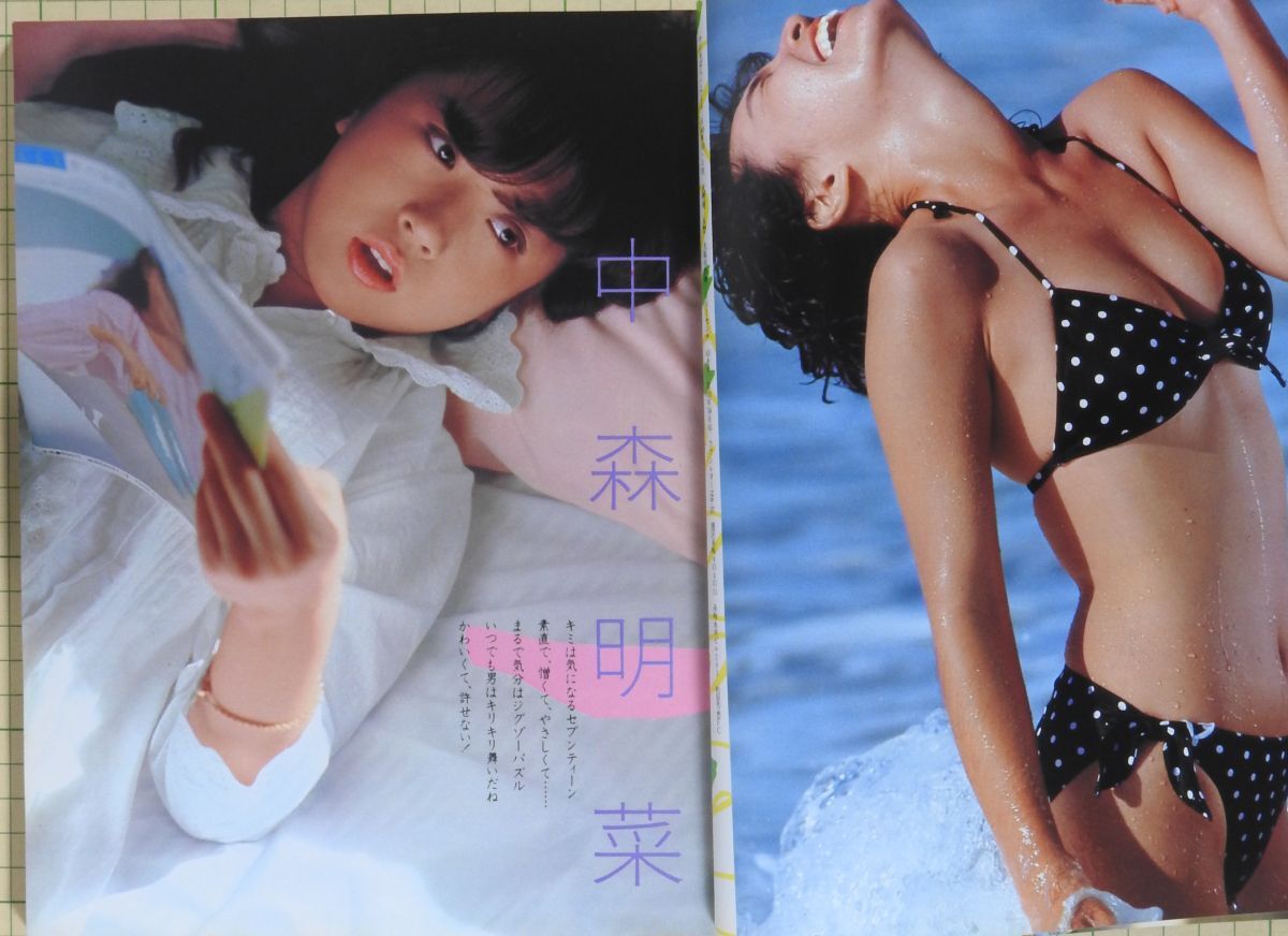 平凡サマースペシャル 1983年8月号臨時増刊 大胆水着 平凡サマースペシャル 1983年8月号臨時増刊 大胆水着