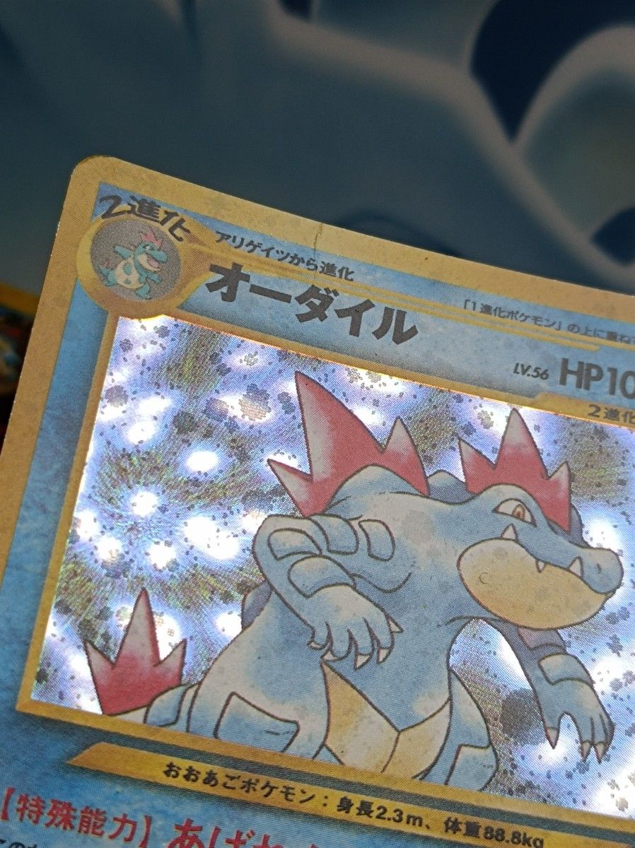 ポケモンカード 旧裏・わるいオーダイル・オーダイル・ワニノコ ポケモンカード 旧裏・わるいオーダイル・オーダイル・ワニノコ