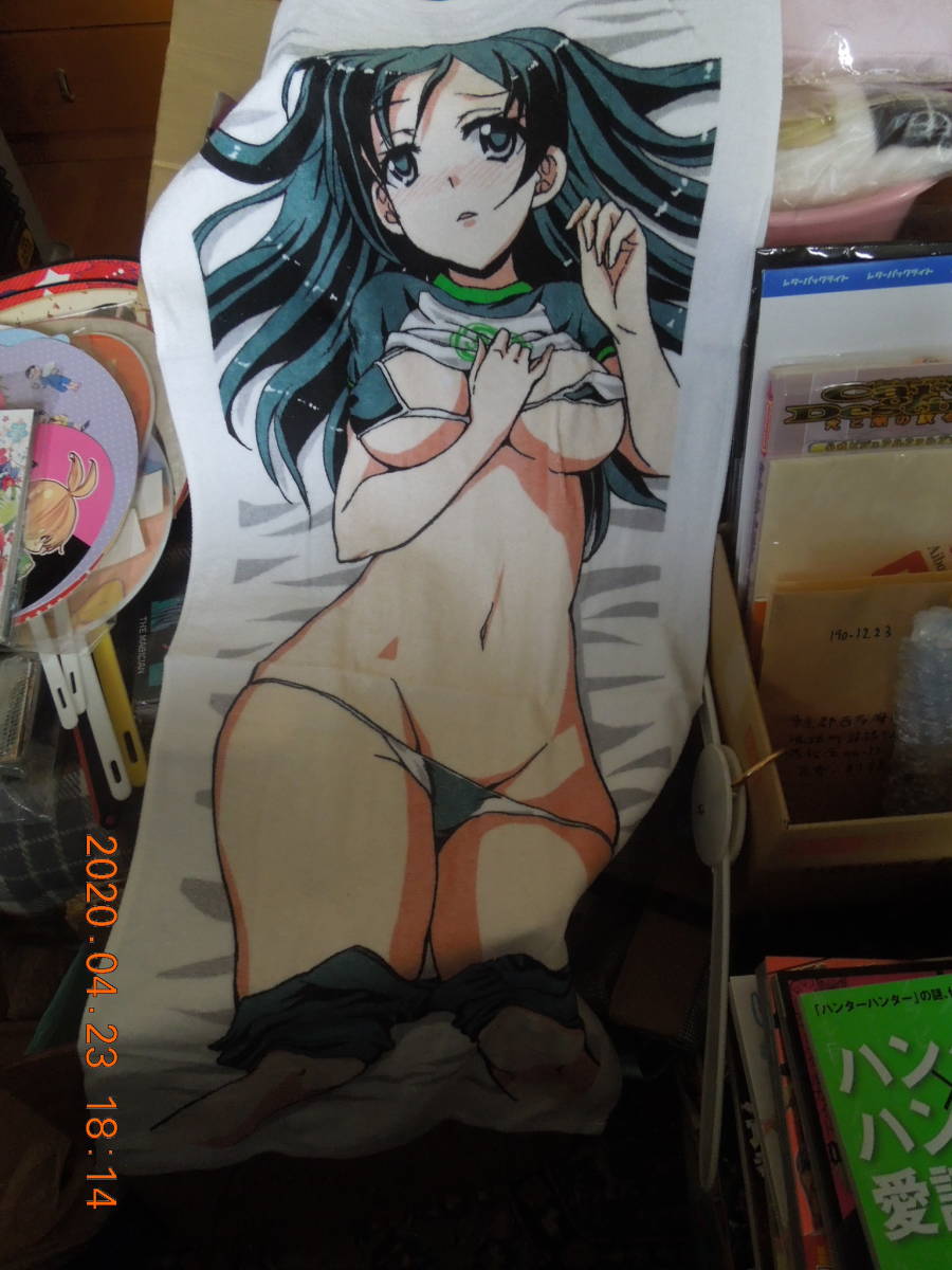  swimsuit beautiful young lady illustration towel unused / original same person? Dakimakura cover manner 