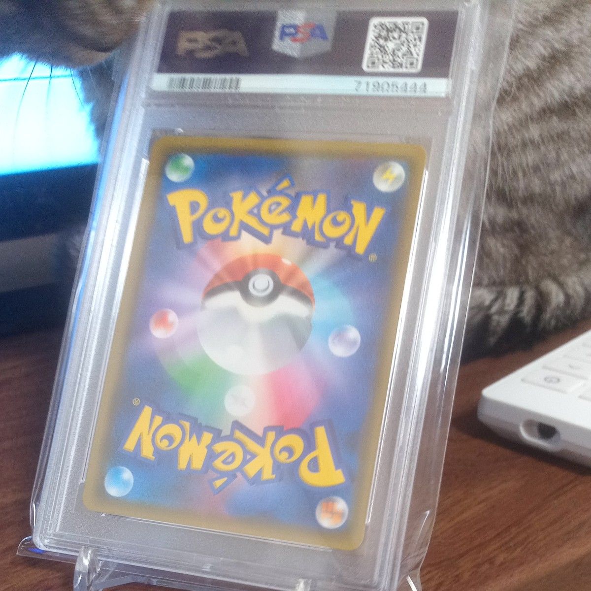 ムサシとコジロウ PSA10 ポケモンカード SR|Yahoo!フリマ(旧 ムサシとコジロウ PSA10 ポケモンカード SR|Yahoo!フリマ(旧