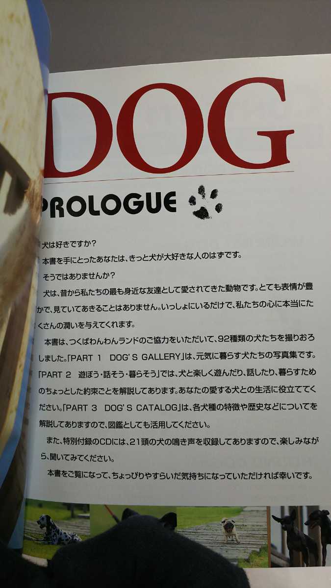 ナツメ社 CDブック かわいいドッグカタログ 21犬種の犬の声を収録 CD付き_画像4