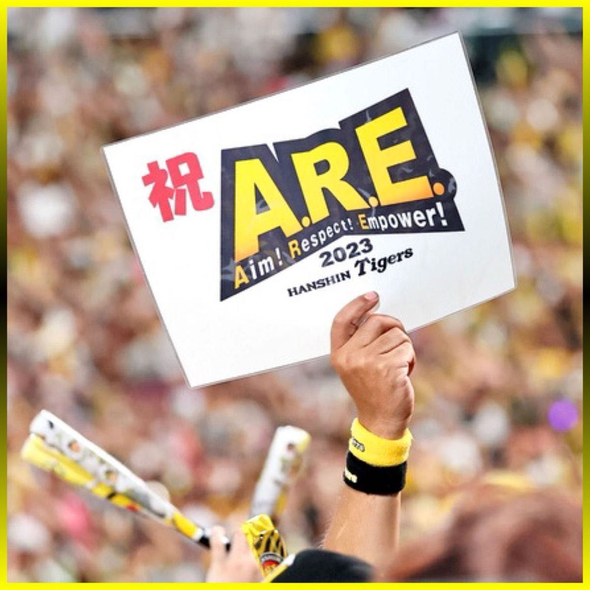 阪神タイガース/2023祝日本一 リーグ優勝記念グッズ ビールかけ 阪神タイガース/2023祝日本一 リーグ優勝記念グッズ ビールかけ